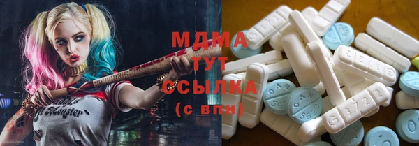 индика Алзамай