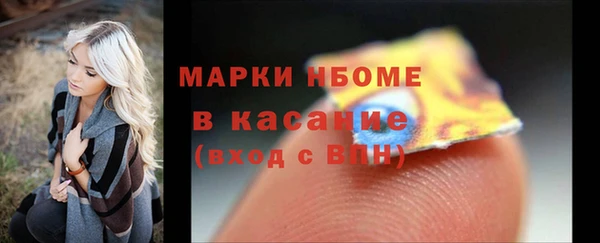индика Алзамай
