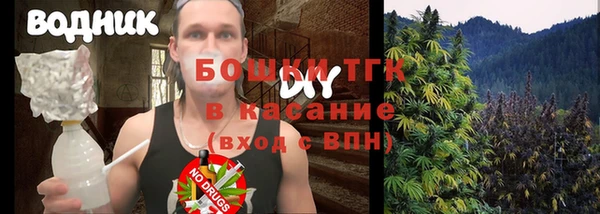 молекула духа Алексеевка