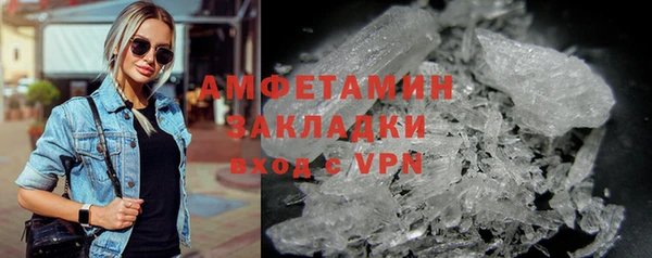 индика Алзамай