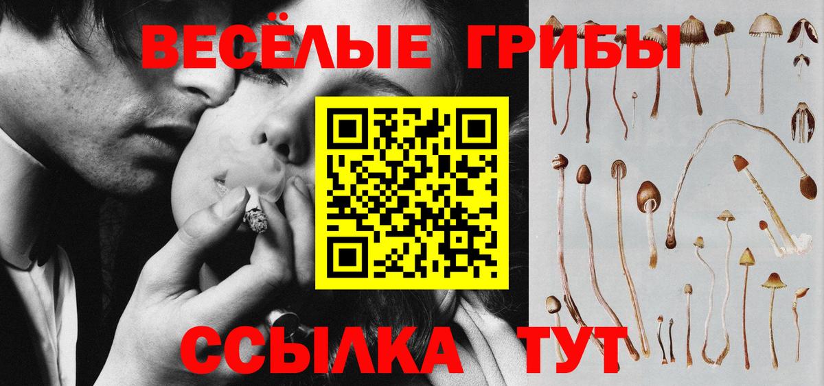 Светлоград  Псилоцибиновые грибы мухоморы  Галлюциногенные грибы Magic Shrooms  Вход с VPN 