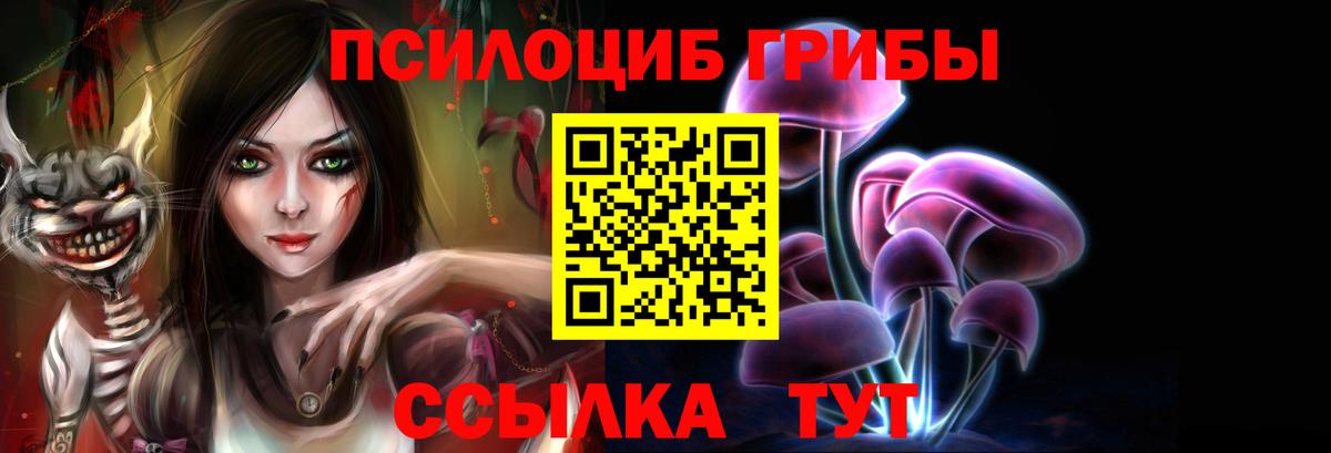 Псилоцибиновые грибы GOLDEN TEACHER Светлоград